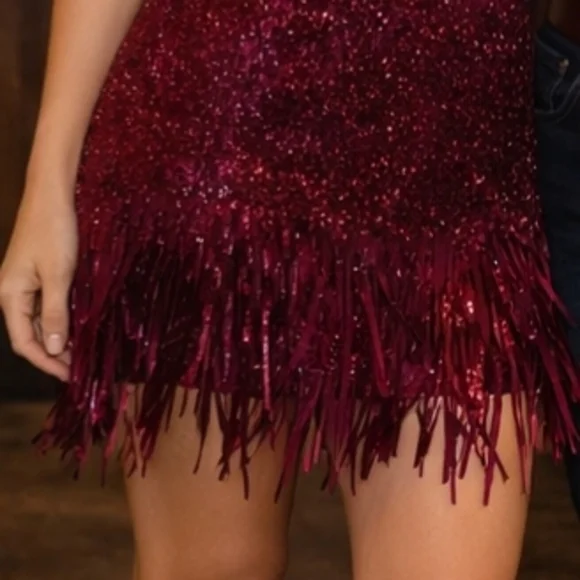 Elegant Burgundy Feathered Dress - Picture 2 of 3